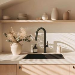 Quadri Brighton mitigeur de cuisine noir mat avec bec extractible avec douchette 1208956106
