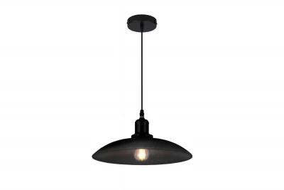 Decor Horizon Lampe à suspension industrielle Noir mat 4512