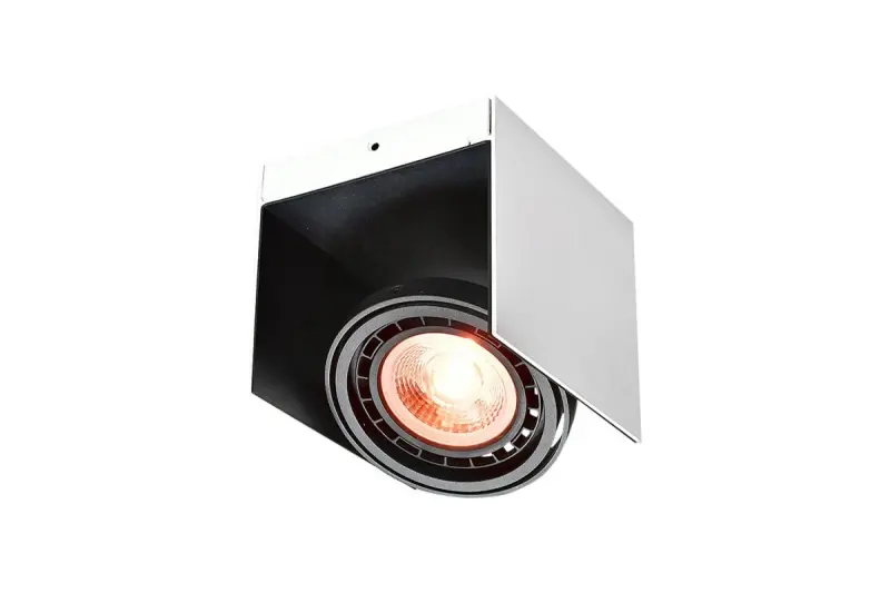 Decor Verso Plafonnier Noir et Blanc avec tête mobile 1 source lumineuse 4236