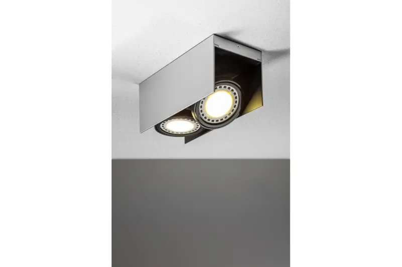Decor Verso Plafonnier Noir et Blanc avec tête mobile 2 sources lumineuses 4250