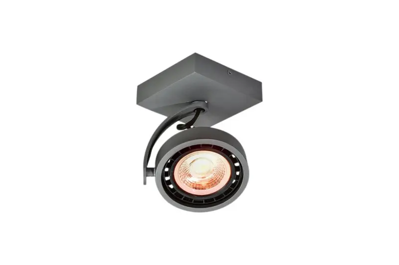 Decor Wally Plafonnier ou applique murale anthracite à tête mobile 1 source lumineuse 4281