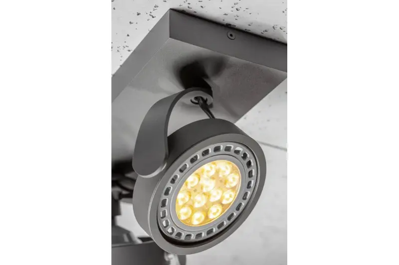 Décor Wally Plafonnier ou Applique anthracite à tête mobile 2 sources lumineuses 4304