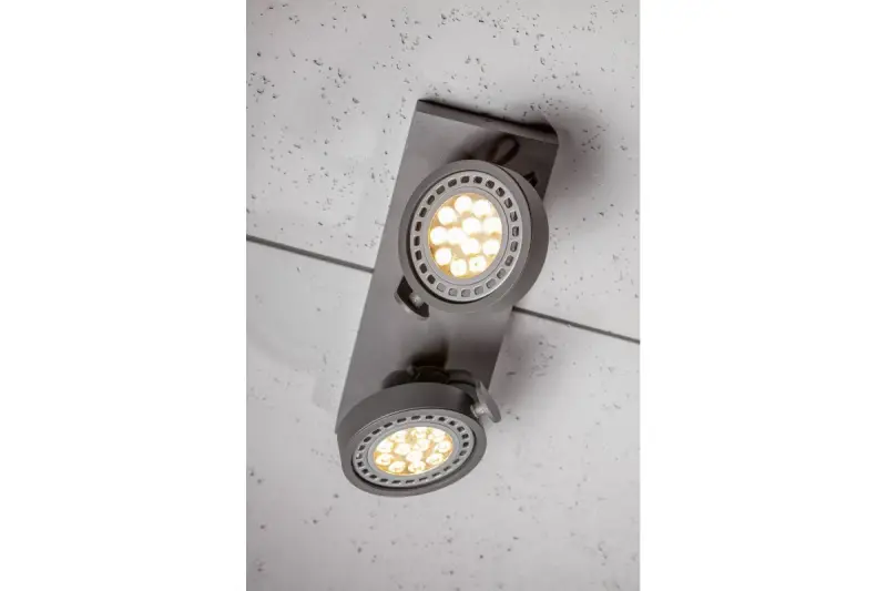 Décor Wally Plafonnier ou Applique anthracite à tête mobile 2 sources lumineuses 4304