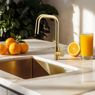 Robinet de cuisine Pure.Sink Elite Steel Crystal-S en PVD or brossé avec bec extensible PS8050-60