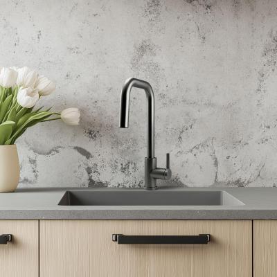 Robinet de cuisine Pure.Sink Elite Steel Crystal-S en acier PVD Gun metal avec bec extensible PS8050-61