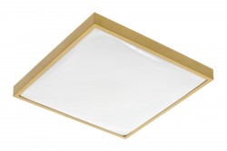 ALTAR LED Plafonnier, 295x295mm, 4000K, 24W, 1680lm, AC180-250V, 50/60 Hz, PF>0.5, IP44, couleur or, garantie de 3 ans.