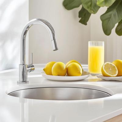 Banka U18380 Évier rond en acier inoxydable 45 cm Sous-plan 1208970056