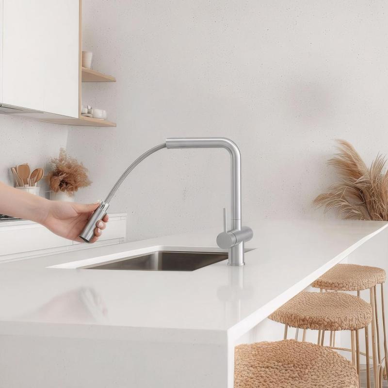 Pure.Sink Elite Steel Clear-S RVS 3-voie Robinet de cuisine avec Bec Retractable et Eau Filtrée PS8120-02