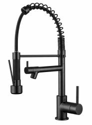 Aquanello Gastro Robinet de cuisine avec fonction de pulvérisation professionnelle, noir BL-4402-GT
